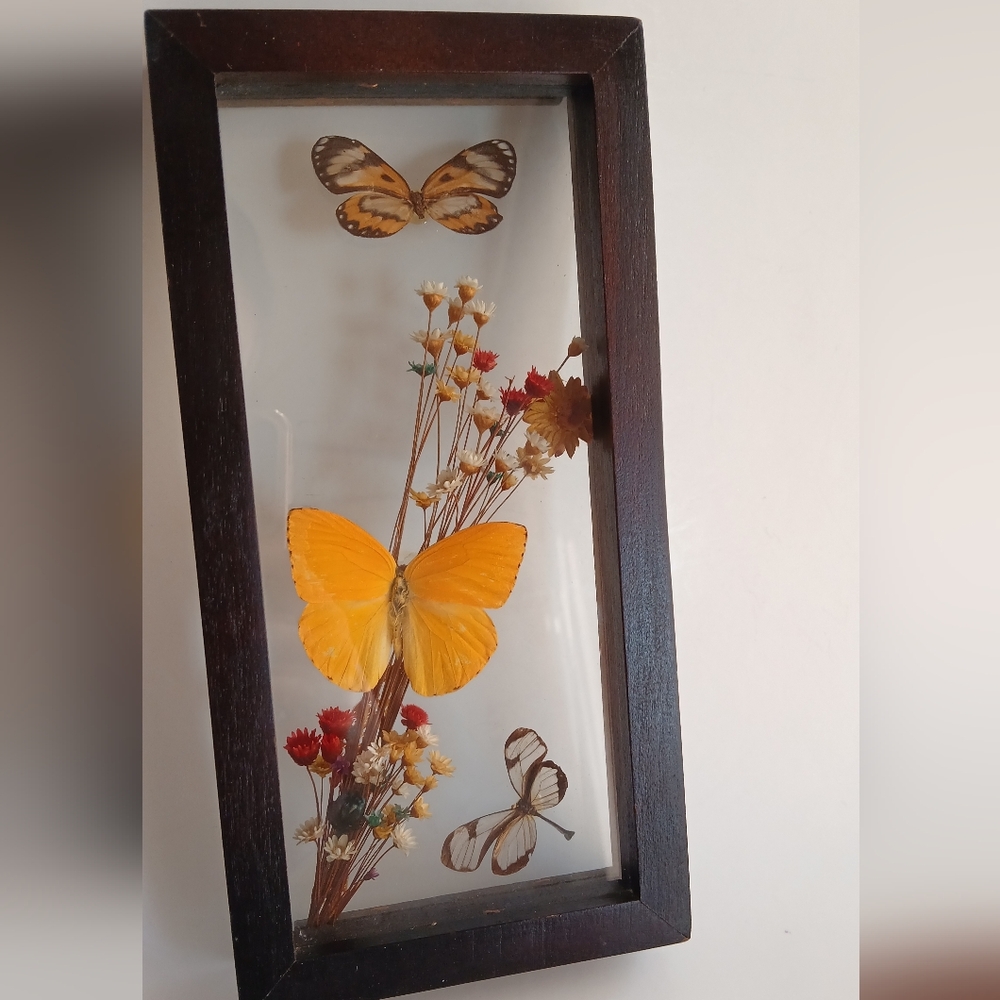 Vintage ShadowBox Butterfly and Floral Art